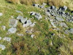 Possible sheepfold, Northgate Fell, Weardale  © DCC 2024-09-18